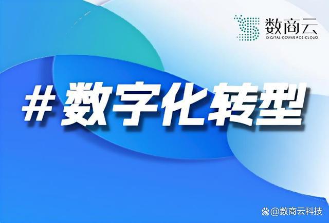 数字化转型案例分析：中小企业如何实现产业升级｜数商云(图1)